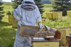 Large Beekeeping Jacket