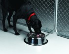 5 Quart Stainless Steel Heated Pet Bowl