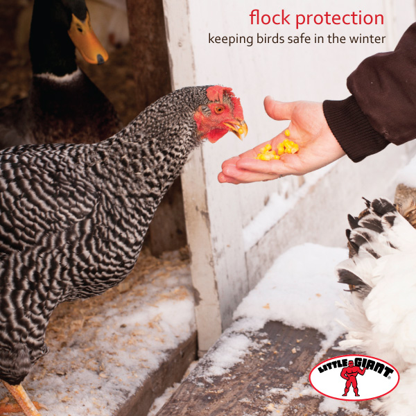 Little Giant Flock Protection