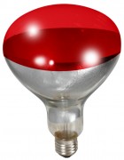 250 Watt Red Bulb For Brooder Lamp