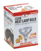250 Watt Clear Heat Lamp Bulb