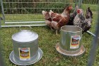 12 Pound Hanging Metal Poultry Feeder