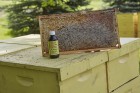 8 oz Liquid Bee Feeding Stimulant - Honey B Healthy