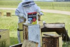 Beekeeping for Dummies book