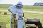 Homegrown Honey Bees Book