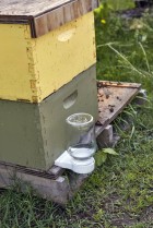Beehive Entrance Feeder