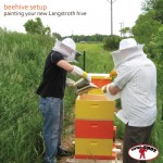 Painting your Beehive