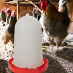 New Video: The API® 3 Gallon Heated Poultry Fount