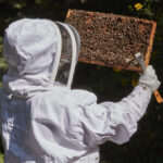 Getting Started with Beekeeping