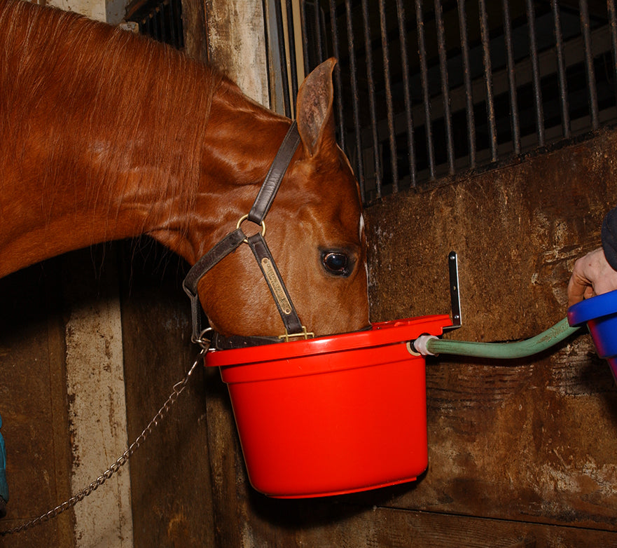 New Video Little Giant® DuraMate Automatic Waterers Miller Manufacturing Company Blog