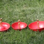 New Video: Little Giant® Automatic Poultry Founts