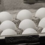 Egg Prices Cause More to Raise Chickens