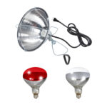 Little Giant Brooder Reflector Lamp and 250 Watt Heat Lamp Bulbs