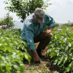 National Farm Workers Day (March 31st)