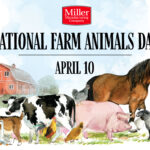 National Farm Animals Day (April 10)