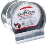 Galvanized Bucket Poultry Waterer