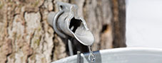 Maple-Sugaring-Supplies